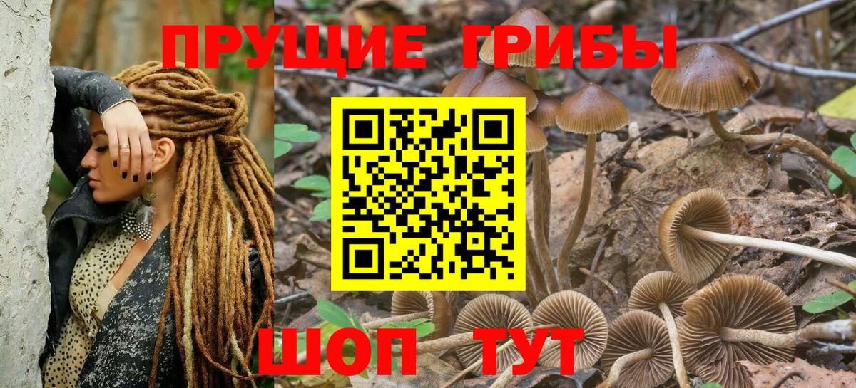 Псилоцибиновые грибы Cubensis  Вход с VPN  Псилоцибиновые грибы мухоморы  Краснокамск 
